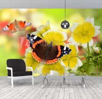 Picture of Schmetterling 141